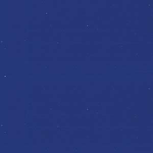 Mactac 8300 Pro Royal Blue Perm 48 X 164