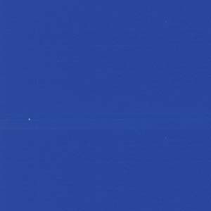 Mactac 8300 Pro Electric Blue 48 X 164