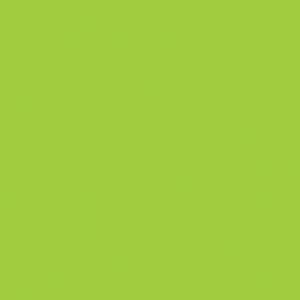 MACmark 8300 PRO Gloss Vibrant Green 48" x 164'