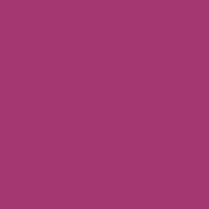 MACmark 8300 PRO Gloss Raspberry 48" x 164'