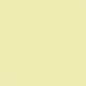 MACmark 9800 PRO Gloss Ivory 48" x 164'