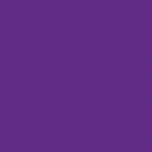 Mactac 9800 Pro Violet Perm 48 X 164